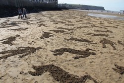 odditiesoflife:  9,000 Fallen Soldiers Stenciled