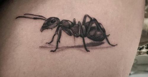 Latest addition to my leg ! We named him Karl Karlson