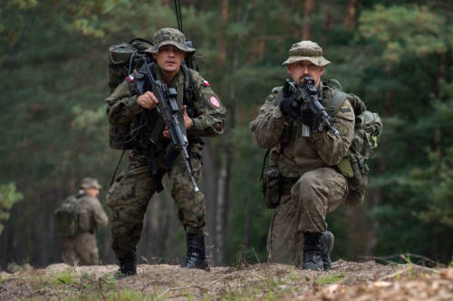 Sex militaryarmament:  Polish Paratroopers from pictures