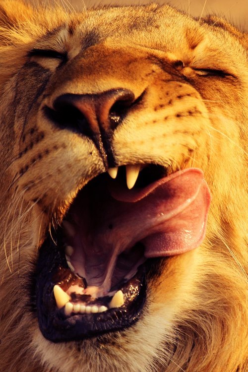 scdsworld:  Meriç Ekiz | via Facebook on We Heart It - http://weheartit.com/entry/57934131/via/scs