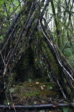 wolftea:one of the little shrines build along the trails 