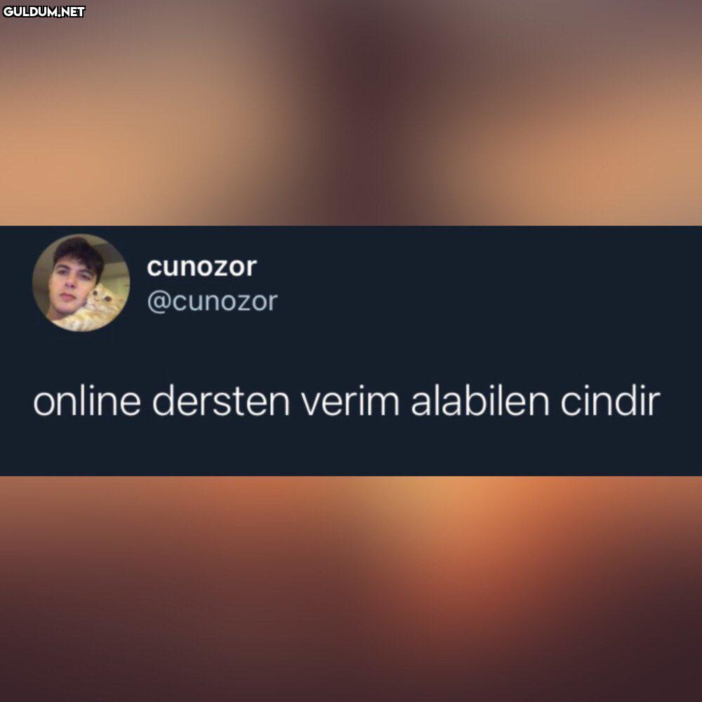 kafa almıyor cunozor...