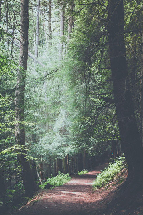 bowhurst:  ×  Just beautiful things   ×  Also on Instagram  × 