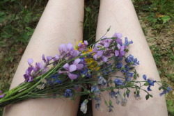 furything:  shins and flowers  