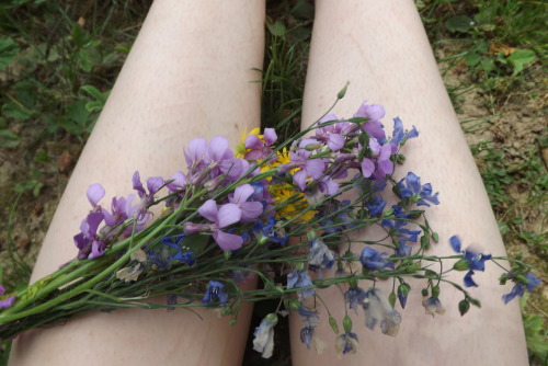 furything:  shins and flowers   adult photos