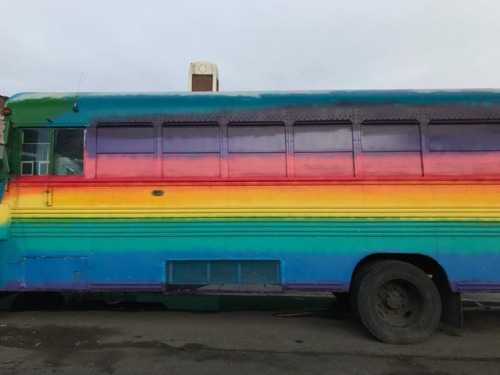 htmlove:found this pretty bus today