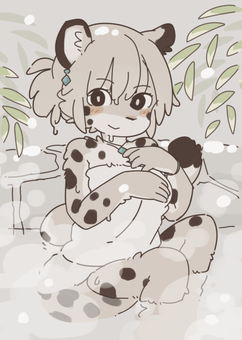 snow leopard