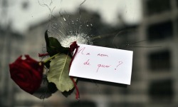 archaeologicals:  A red rose, with a sign that reads, “In the name of what?” was placed in a bullet hole in the window of a Japanese restaurant next to ‘La Belle Equipe’ on Rue de Charonne. [Source] 