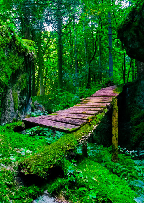 coiour-my-world:One way to heaven by jasonwilde ~ Hope, BC, Canada