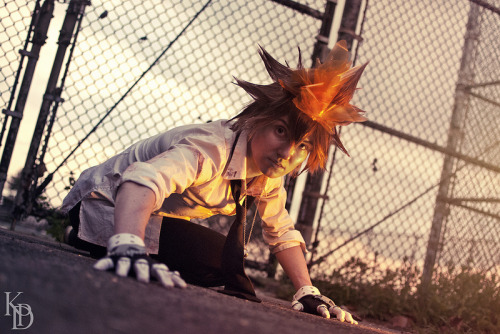 vantasticmess:robobromance:家庭教師ヒットマンREBORN!Private Shoot 2013 Tsunayoshi Sawada | Hayato Gokudera | 