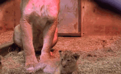 failsnet:  Tumblr Fails.net - Hey…Hey…MOM!