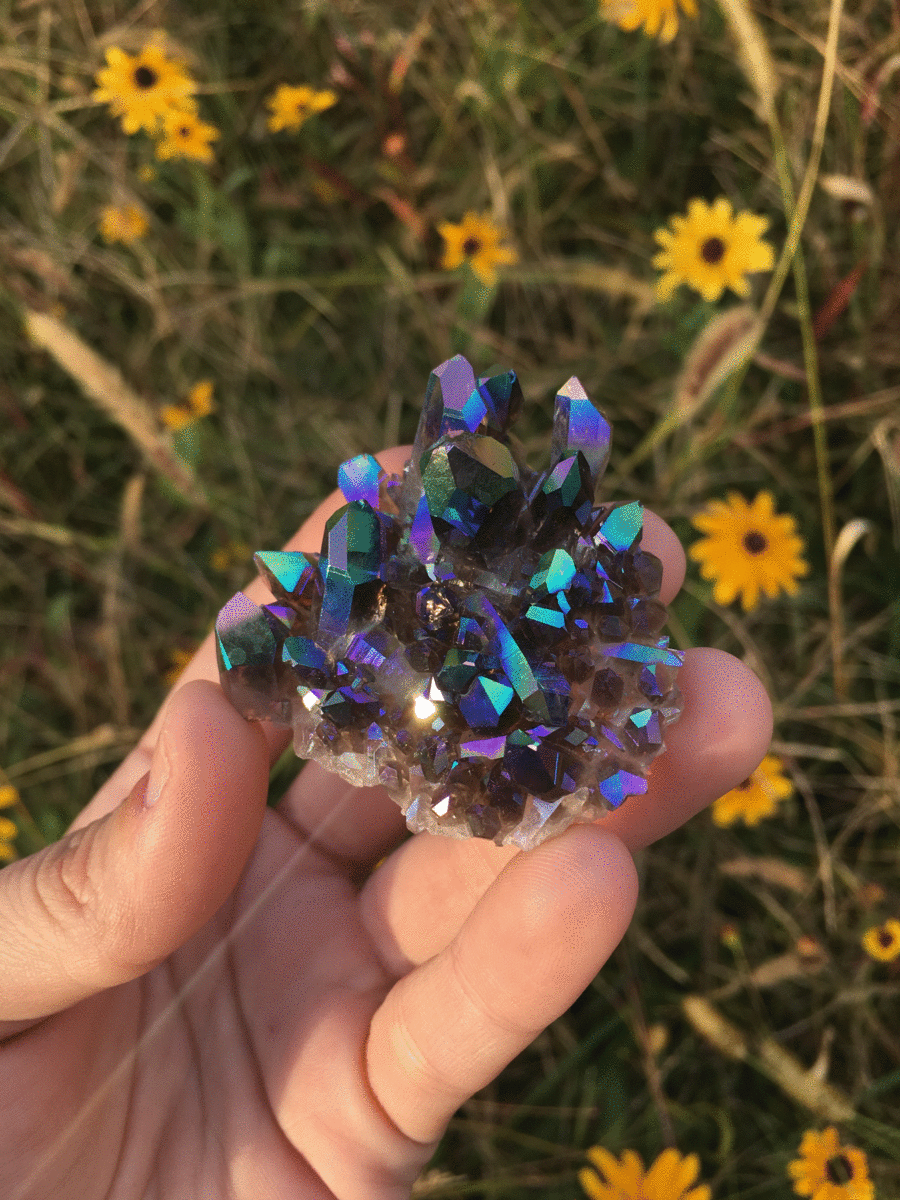 mamadivaa:Pretty new baby with unbelievable colors! 😍😍😍 