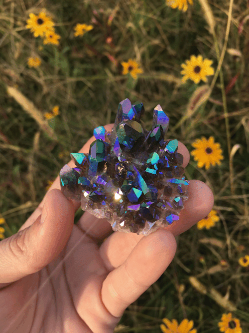 mamadivaa:Pretty new baby with unbelievable colors! 😍😍😍 