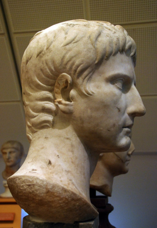 myglyptothek:Posthumous portrait of Augustus. 14-100 AD. Marble. National Museum of Denmark, Co