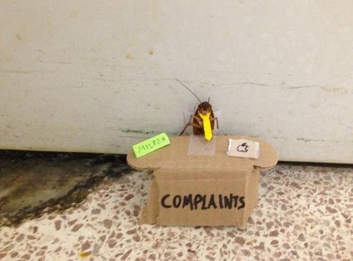 psychotic-vibes:  neyagawa:  meanplastic:  tumblr staff  im fucking crying at this effort they taped the cockroach and made a little tie the longer i look at this the funnier it gets  MILTON