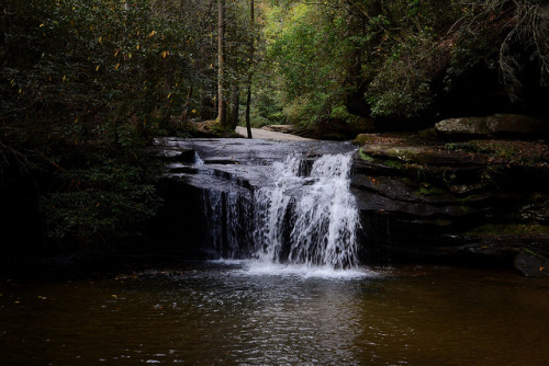 Trail Delight - Table Rock State Park by rschnaible on Flickr.