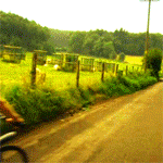 theslapapow:  Naomily Moments (part 1) 