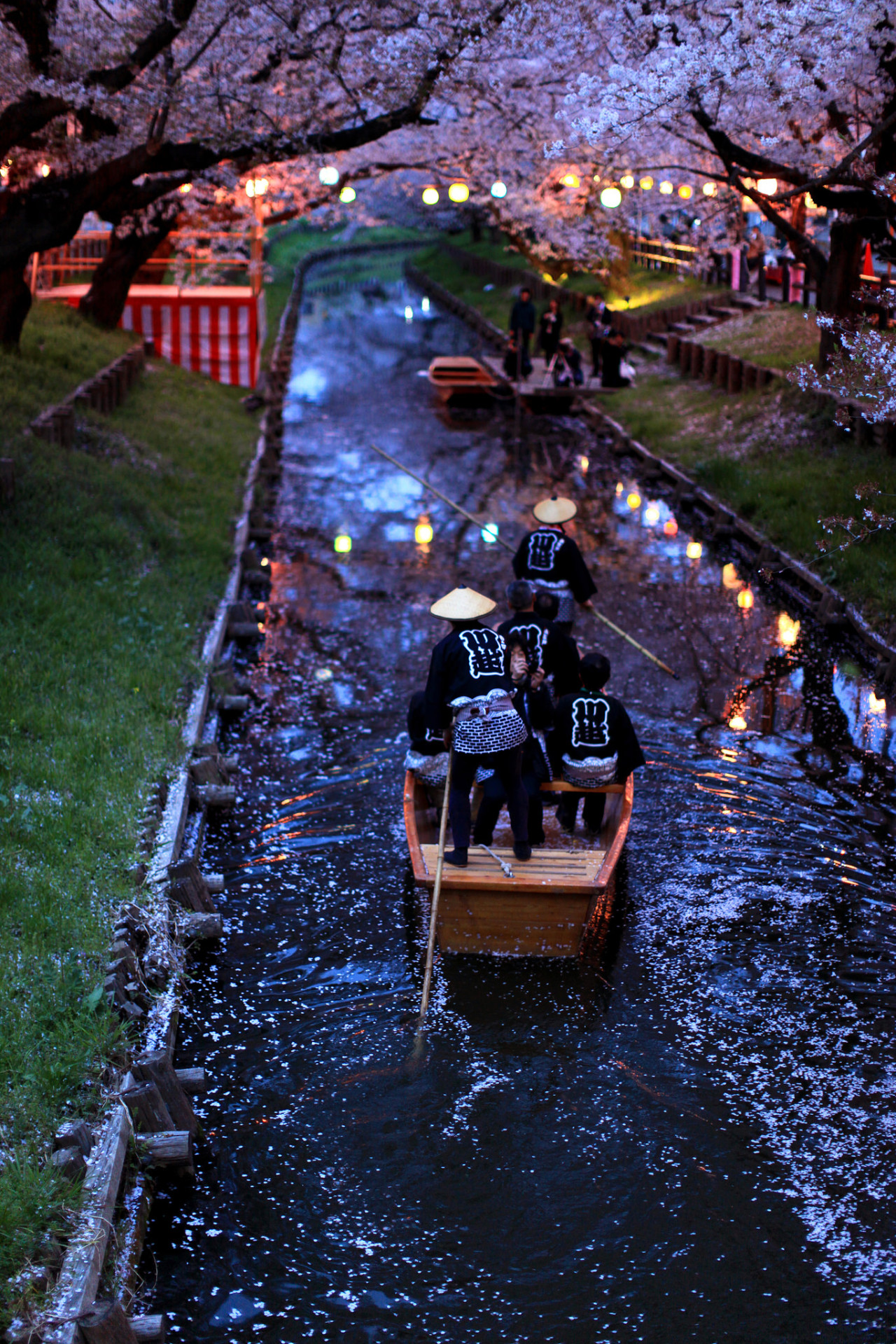 miizukizu:  © | akihiro nagashima (Do not remove credits)