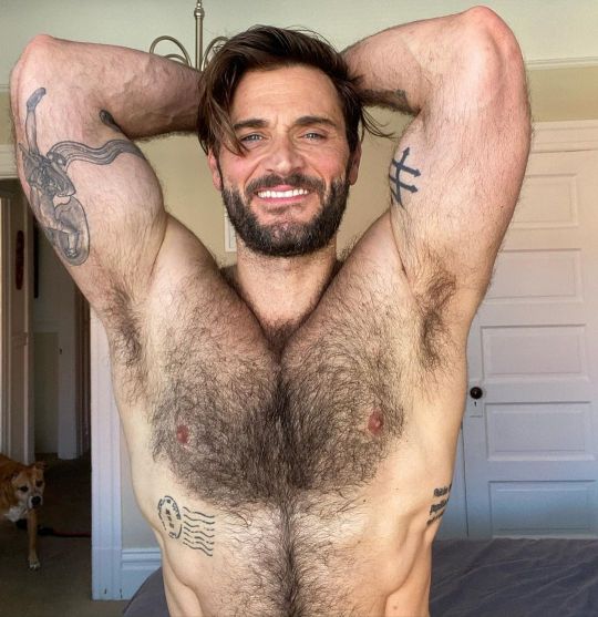 mydreamofthegaymens: