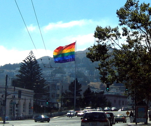 kohlhase:  Castrosanfranciscoflag  Flag adult photos