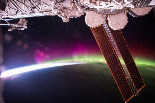 Aurora from the ISS.Photo credit: NASA