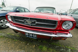 tjoez:  American Muscle.Was walking to my car and came across this beautiful piece of machinery. 