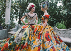 belleamira:  Dolce & Gabbana Alta Moda