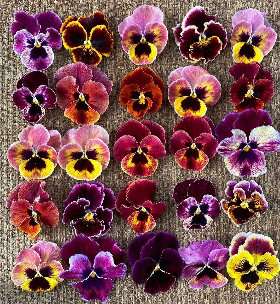 fleur-aesthetic:instagram | microflowerfarm 