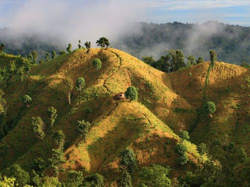 travelingcolors:Bandarban Paddies | Bangladesh (by M Yousuf Tushar)