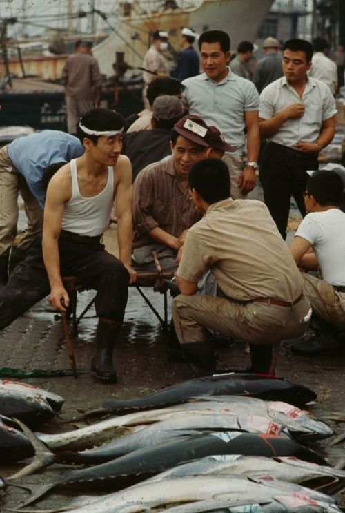 s-h-o-w-a:Tokyo fish market, 1964Ph. Brian Brake