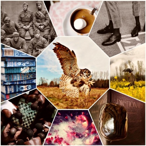 arsparadoxica: coffee-coop: “You worry about what you can’t control, son, and that&rsquo