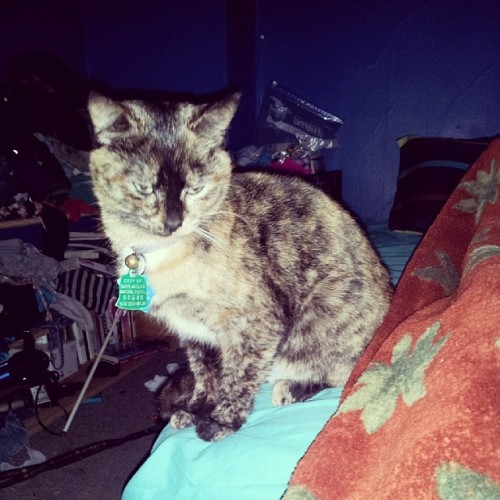 Hahaha nah she&rsquo;s pretty but you can&rsquo;t tell here she doesn&rsquo;t like getti
