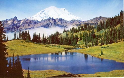 It’s #NationalPark Week! To celebrate, the Idaho Harvester is featuring postcards of Mount Rainier N