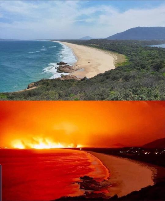 dawnoftheeverlight:  tl;dr my country is literally on fire and the politicians refuse to helpI know there’s a lot going on in the world, but you probably haven’t heard about what’s happening in Australia.we’re on fire.approximately ¼ of australia’s