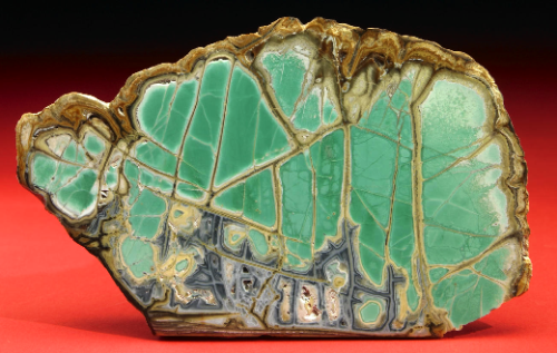Variscite slice - Utah