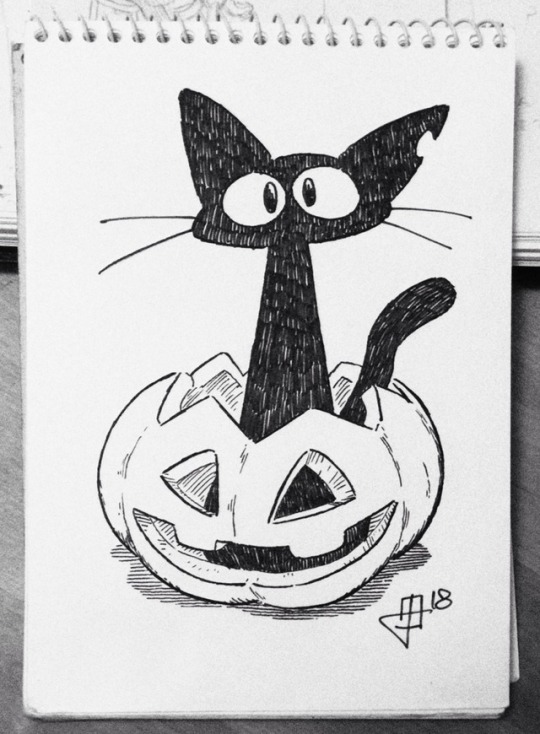 XXX First post of inktober: one black catAlso photo