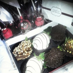 So babe surprised me with an early Valentine&rsquo;s Day gift :D im so damn happy!!!! My love knows me so well ^.^ #chocolatecoveredstrawberries #BROWNIEPOPS #LuvBugBPops #YumYum #HowAmazingDoesThatLook #SoMuchChocolate #SharisBerries #ThankYouBaby!