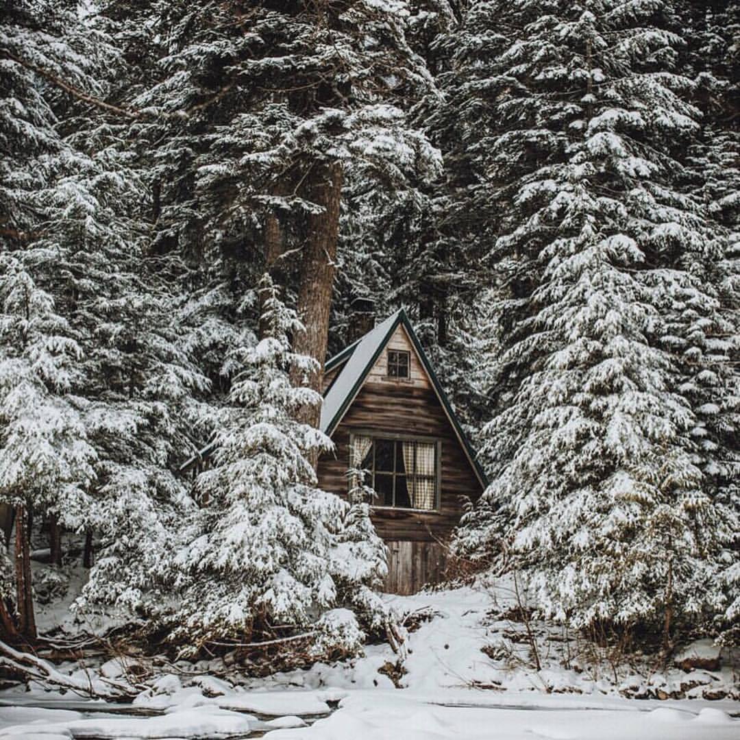 upknorth:  Determined resolutions.                #getoutdoors #upknorth Cabin goals