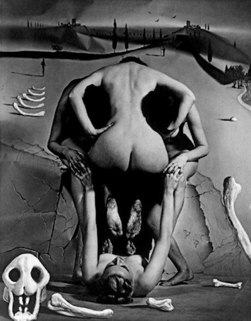 almavio: PHILIPPE HALSMAN (1906 - 1979) Leopard Skull (collaboration with Salvador Dali) 1951