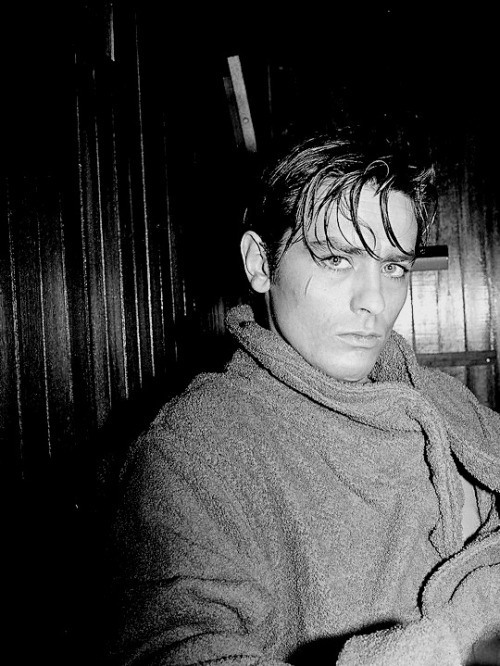 i-want-my-iwtv: sweetasambrosia:sweetasambrosia:molochaii:I found out by accident that Alain Delon i