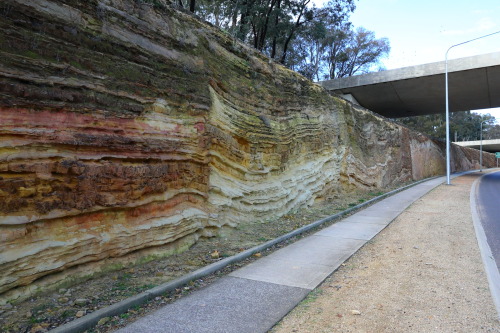 2015: The famous road cutting on State Circle between Kings Avenue and Commonwealth Avenue in Canber