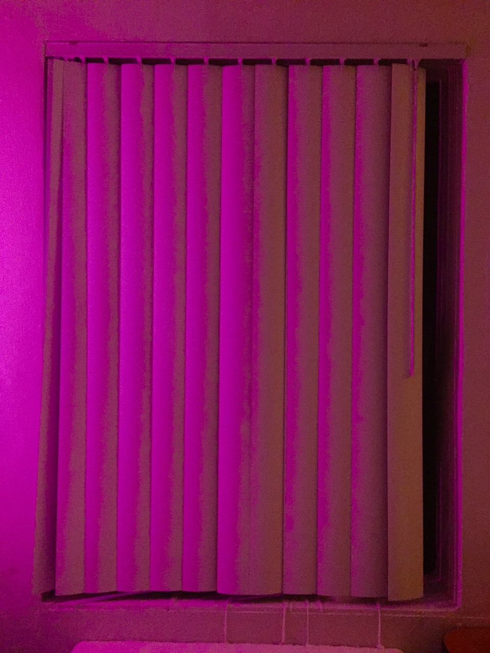 bebyblue:  Pink and yellow lights in my room 