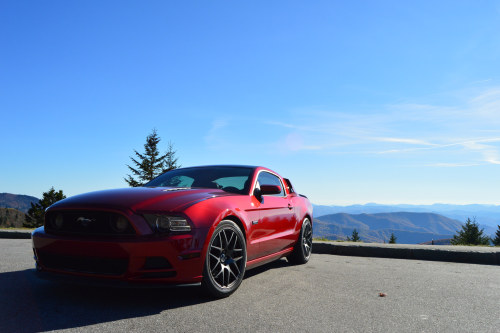 2014 Mustang GTBlue Ridge Parkway // NC // 2015  DSC_1524 by Hannah R 