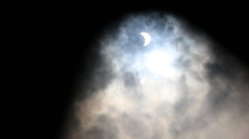 bisayawitch:The Great American Solar Eclipse! :D Minokawa and Bakunawa!Though we didn’t get to see t