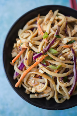 fattributes:  Asian Peanut Noodle Salad with Chicken in a Sweet-Spicy
