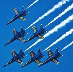 chicagotribune:  The Air &amp; Water Show is over, and sadly it was cut short. But there are so many amazing photos using the #chiairwater2014 hashtag on Instagram, including these by @nick_ulivieri, @thecraighensel, @amyboylephoto and @jezibell (top