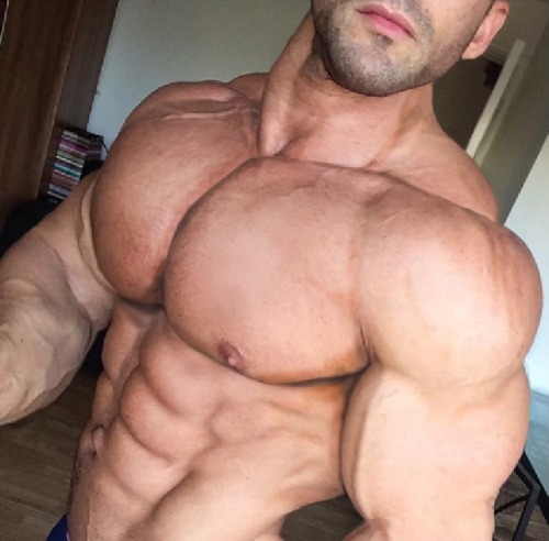 Packed Pecs