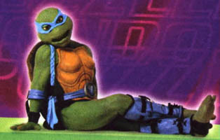 Does anybody still remember the this turtle? 