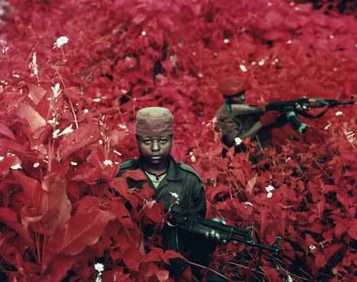 limitedheat:Kodak’s Retired Infrared Film Creates A Hot Pink Congo.Infrared Kodak film renders certa