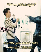 kingjunmyeonn:  Best of Suho in 2015 3/5 